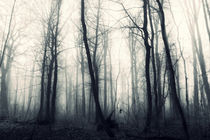 foggy forest II von rlephant