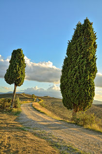 Wanderweg in der Toskana von Peter Bergmann