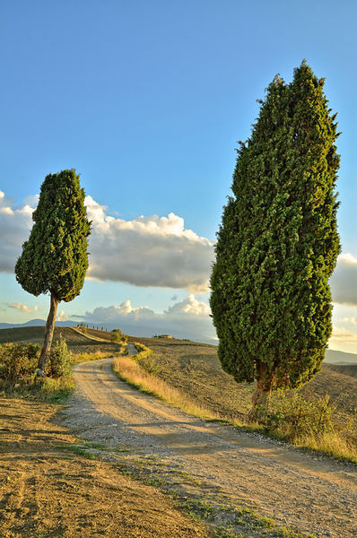 Trail-tuscany