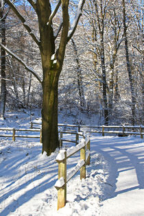 Ein schöner Wintertag by Bernhard Kaiser