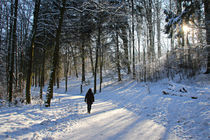 Spaziergang im Schnee von Bernhard Kaiser