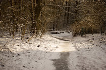 Frozen Creek by aseifert