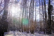 Winter Landschaft by aseifert