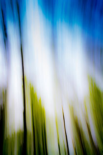 Abstraction Of Blur by David Pyatt