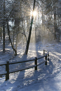 Ein schöner Wintertag 2 von Bernhard Kaiser