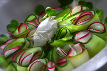 Bavarian Carpaccio With Cucumber, Radish and Creamy Cheese by lizcollet