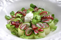 Bavarian Carpaccio With Cucumber, Radish and Creamy Cheese by lizcollet