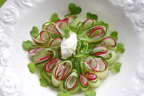 Bavarian Carpaccio With Cucumber, Radish and Creamy Cheese III by lizcollet