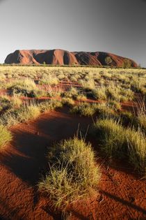 Uluru - Australia by usaexplorer