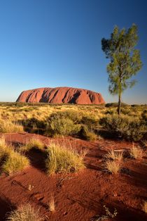 Ayers Rock by usaexplorer