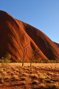 Ayers Rock in the afternoon by usaexplorer