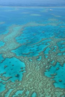 Flugzeug über dem Great Barrier Reef von usaexplorer