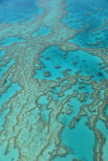 Great Barrier Reef von usaexplorer