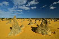 Nambung Nationalpark (Western Australia) von usaexplorer