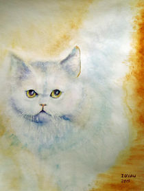 Weiße Katze by Irina Usova