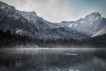 Line of fog on the Lake von Gerhard Petermeir