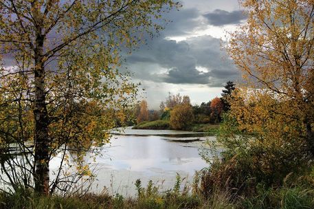 The-old-pond-in-autumn-moscow-region-russia