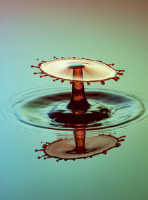 Liquid Art - Red TaT von Stephan Geist