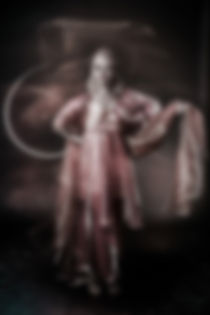 Blur or Defocus image of phantom of ballerina von Ales Munt