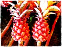 ~Pineapple Pretty~ von Sandra  Vollmann