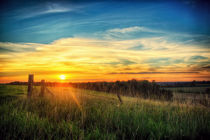 Paint me a sunset von Vicki Field