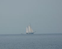 Seegelboot auf der Ostsee von Simone Marsig