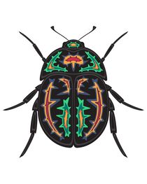 dung beetle von Maksym Syrota