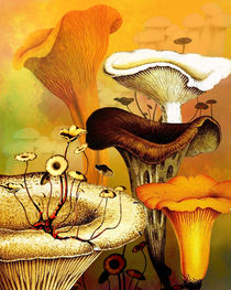 Mushroom Forest by Sherri Leeder