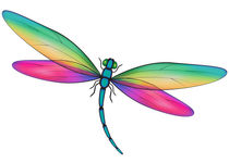 dragonfly von Maksym Syrota