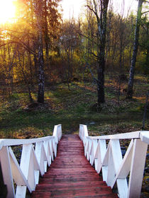 Treppe in den Wald von johanna-ka