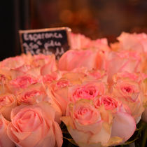 Roses von Luigi Luca Genua