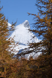 Zermatt : Adlerhorn von Torsten Krüger