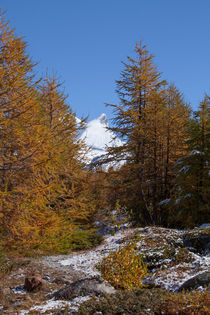 Zermatt : Adlerhorn by Torsten Krüger