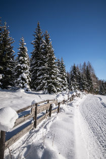 Winter Road by Simon Kirchmair