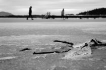 breaking ice by Thomas Matzl