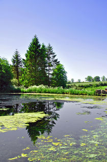Village Pond, Tissington von Rod Johnson