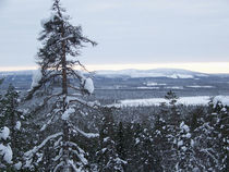 Die Weiten Lapplands von johanna-ka