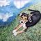 Shepherd-puppy-by-artsanddogs-d1iuyvn