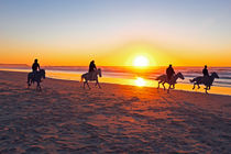 Horse riding at sunset at the beach von nilaya