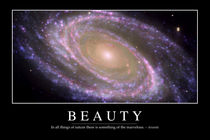 Beauty Motivational Poster by Stocktrek Images