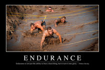 Endurance Motivational Poster von Stocktrek Images