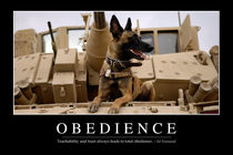 Obedience Motivational Poster von Stocktrek Images