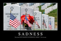 Sadness Motivational Poster by Stocktrek Images