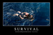 Survival Motivational Poster by Stocktrek Images