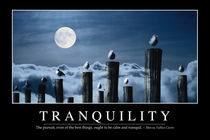Tranquility Motivational Poster von Stocktrek Images