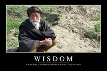 Wisdom Motivational Poster von Stocktrek Images