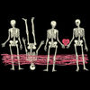Skeletons-lovemirakle