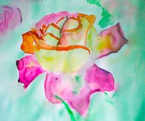 Rose by Maria-Anna  Ziehr