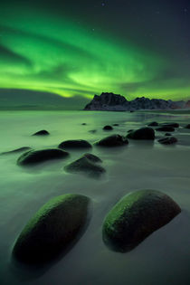 'Aurora borealis over a beach on the Lofoten in Norway' von Sara Winter