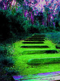 Stairway to Dreamtime by Panda Broad